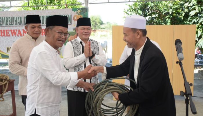 Hari Idul Adha 1445 H, Polda Sulteng Sembelih Puluhan Hewan Qurban