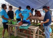 Lapas Ampana Kembali Gelar Pelatihan Kemandirian Hari Ke-5