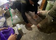 Simpan Sabu 1 Kg, Warga Dalaka Sindue Terancam Penjara Seumur Hidup