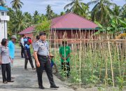 Kalapas Ampana beserta Jajaran Tinjau Lahan Pertanian Lapas