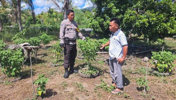 Bhabinkamtibmas Garda Terdepan Dalam Mensukseskan Program Ketahanan pangan