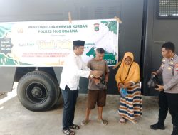 Berbagi di Hari Idul Adha 1446 H, Polres Touna Kurban 11 Ekor Sapi