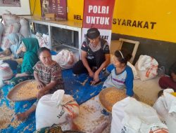 Kapolsek Ulubongka Turun ke Lapangan, Bantu Warga Jemur Jagung Sambil Beri Layanan Kesehatan