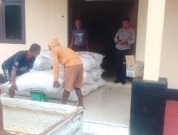 Bantuan Polri dan Bulog, Petani Jagung di Tojo Una-Una Panen dan Langsung Dibayar Tunai