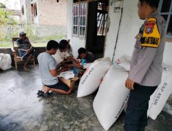Polsek Ampana Kota Dampingi Petani, Panen Jagung Terserap Optimal