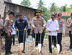 Touna Bersinergi Kuatkan Pangan, Kapolres Pimpin Penanaman Jagung Bibit Unggul di Sansarino