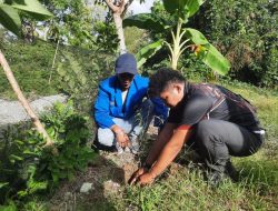 Tepis Stigma, Polres Touna dan PMII Bersatu Tanam Kayu Putih di Hari Sumpah Pemuda