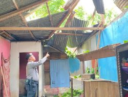 Usai Diterjang Angin Kencang, Polisi dan Warga Gotong Royong Bersihkan Puing Pohon Tumbang di Ampana