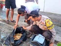 Usai Makan MBG di Sekolah, Siswa SD di Touna Diduga Keracunan, Polres Touna Ambil Tindakan
