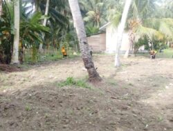 Dukung Ketahanan Pangan Nasional, Polsek Ampana Tete “Hijaukan” Halaman Belakang dengan Tanaman Jagung