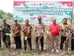 Kawal Ketahanan Pangan, Polres Touna Sukses Bina Lahan Jagung hingga Panen Raya