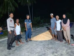 Kawal Rantai Distribusi Pangan, Kapolsek Ampana Kota: 6 Ton Jagung Siap Dijual ke Bulog