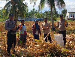Kawal Produktivitas Petani, Polsek Ampana Kota Edukasi Warga Manfaatkan Jalur Resmi Bulog