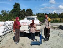 6,6 Ton Jagung Ampana Meluncur ke Bulog Poso, Polri Lakukan Pendampingan