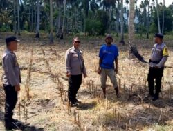 Polsek Ampana Kota Ajak Masyarakat Sansarino Sukseskan Program Ketahanan Pangan Nasional