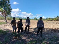 Pastikan Lahan Siap Tanam, Polres Touna Kawal Ketahanan Pangan di Desa Mantangisi dan Sabulira Toba