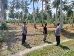 Dari Bibit 15 Kg Menjadi 5 Ton, Kapolsek Ampana Kota Tinjau Keberhasilan Petani Buntongi