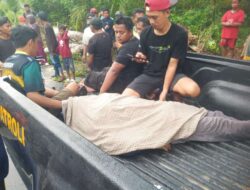 Pengendara Motor Tewas Tertimpa Pohon di Jalan Trans Sulawesi Desa Tete A