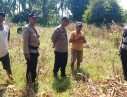 Polsek Ampana Kota Laksanakan Pengecekan Lahan Pertanian di Desa Sumoli