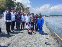 Sinergi Aparat dan Instansi Terkait Lepas Liarkan Penyu Lekang di Perairan Labuan