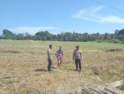 Polsek Ampana Kota Beri Pendampingan Petani Jagung di Desa Sansarino