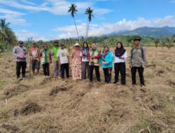 Dukung Ketahanan Pangan, Bhabinkamtibmas Desa Mantangisi Tanam Jagung di Lahan Warga