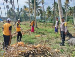 Kapolsek Ampana Kota Dorong Produktivitas Jagung Petani