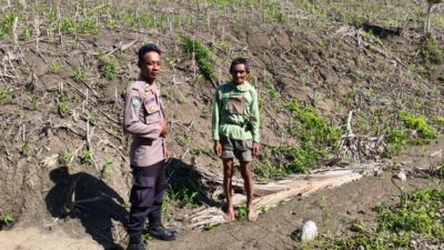 Polsek Ulubongka Dorong Swasembada Pangan Lewat Pendampingan Petani Jagung