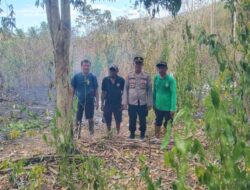 Kapolsek Ampana Tete Sebut Kebakaran Lahan Longge Diduga Berasal dari Puntung Rokok