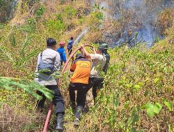 Karhutla Tampanombo Touna Padam, TNI-Polri dan Damkar Tetap Siaga