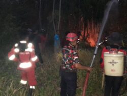 Setengah Hektare Lahan Pinggir Pantai Uekuli Terbakar, Tak Ada Korban Jiwa