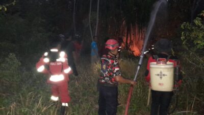 Setengah Hektare Lahan Pinggir Pantai Uekuli Terbakar, Tak Ada Korban Jiwa