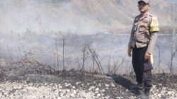 Kebakaran Hutan Gunung Kalendeng Touna Masih Dipantau, Akses Terkendala Medan