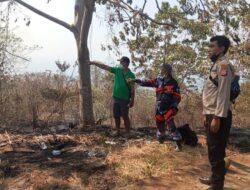 Karhutla 60 Hektare di Buyuntaripa, Polsek Tojo Bersama Warga Lakukan Pemadaman