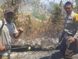 Polsek Ampana Tete Bersama Warga Padamkan Kebakaran Lahan di Balingara