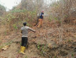 Lahan Lima Hektar Terbakar di Ulubongka Touna, Kapolsek Duga Anggin Kencang
