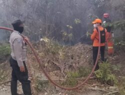 Kawasan Hutan Desa Kalemba Terbakar, Polsek Tojo Pastikan Tidak Ada Korban Jiwa dan Kerugian Materi