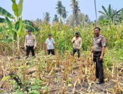 Implementasi “Polisi Peduli Pangan”, Kabag SDM Polres Touna Dorong Pemanfaatan Lahan Tidur Jadi Produktif